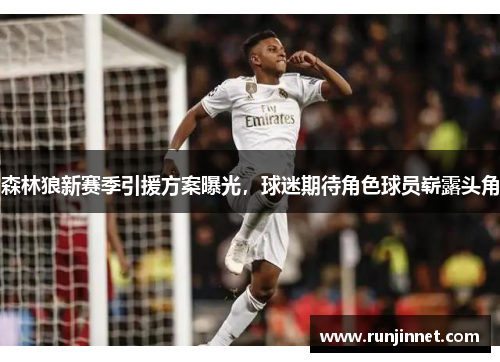 森林狼新赛季引援方案曝光，球迷期待角色球员崭露头角
